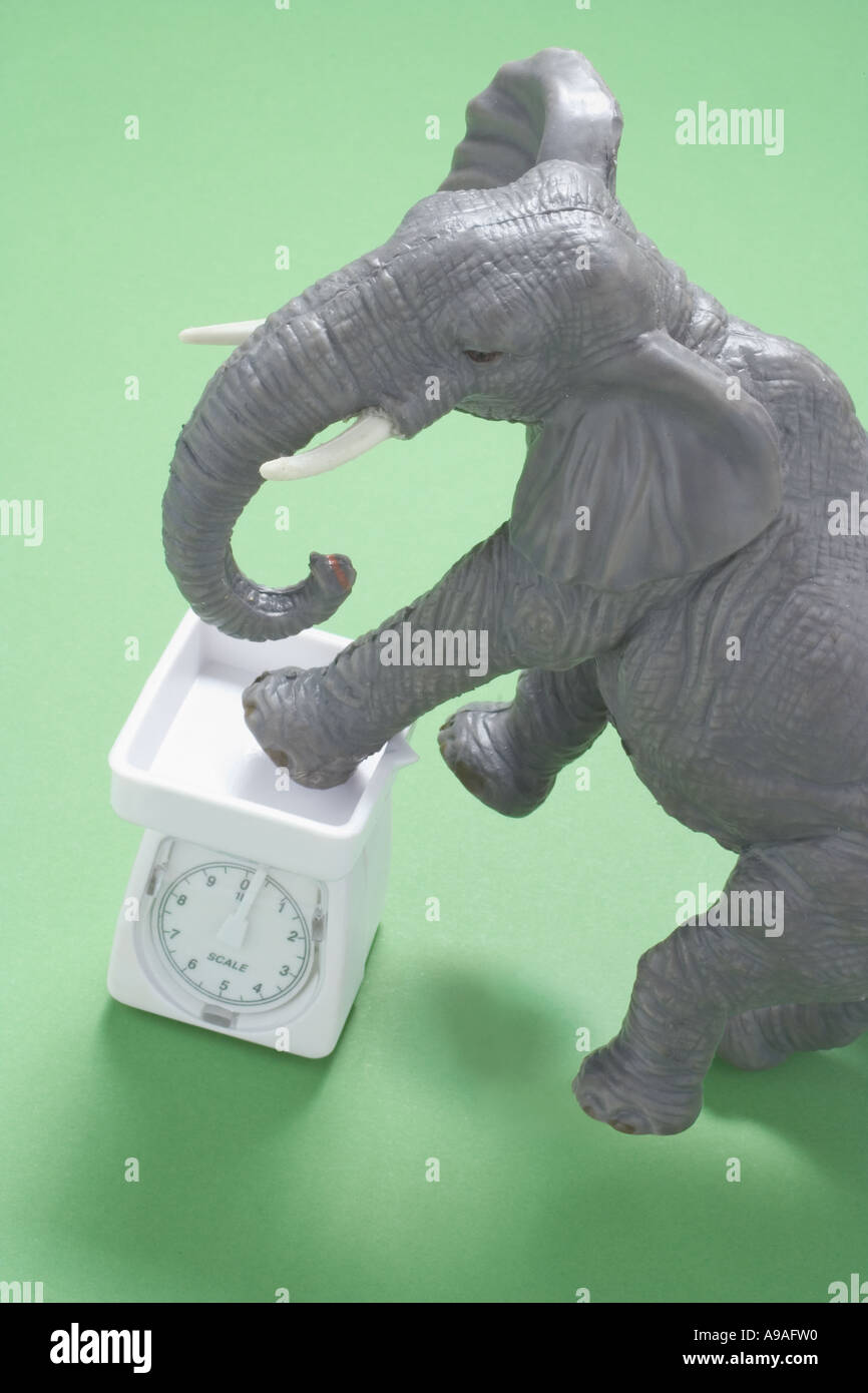Statuetta di elefante e bilancia da cucina Foto Stock