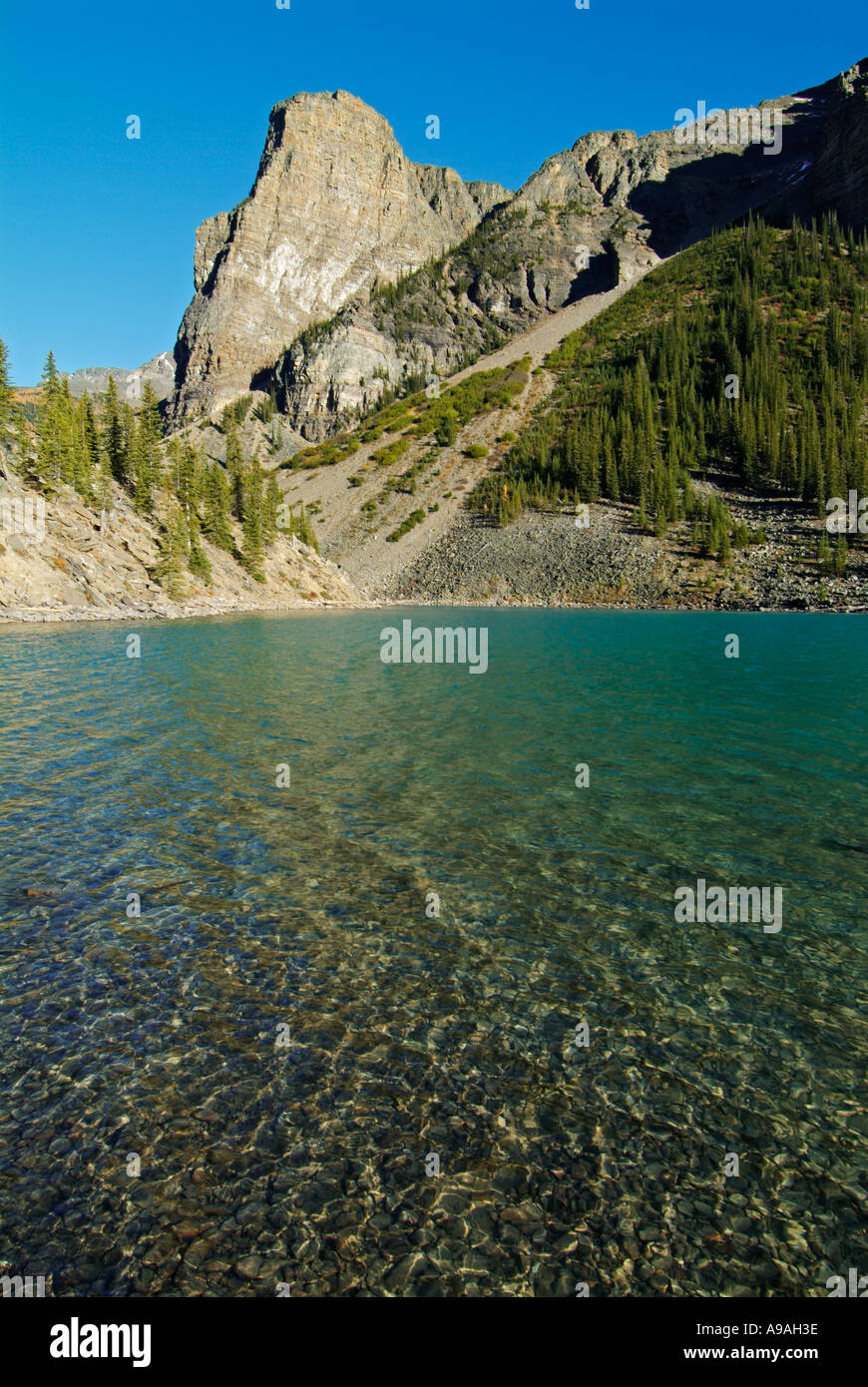 I rockpile sul lato del Lago Moraine vicino al Lago Louise e il Parco Nazionale di Banff Canada America del Nord Alberta Foto Stock