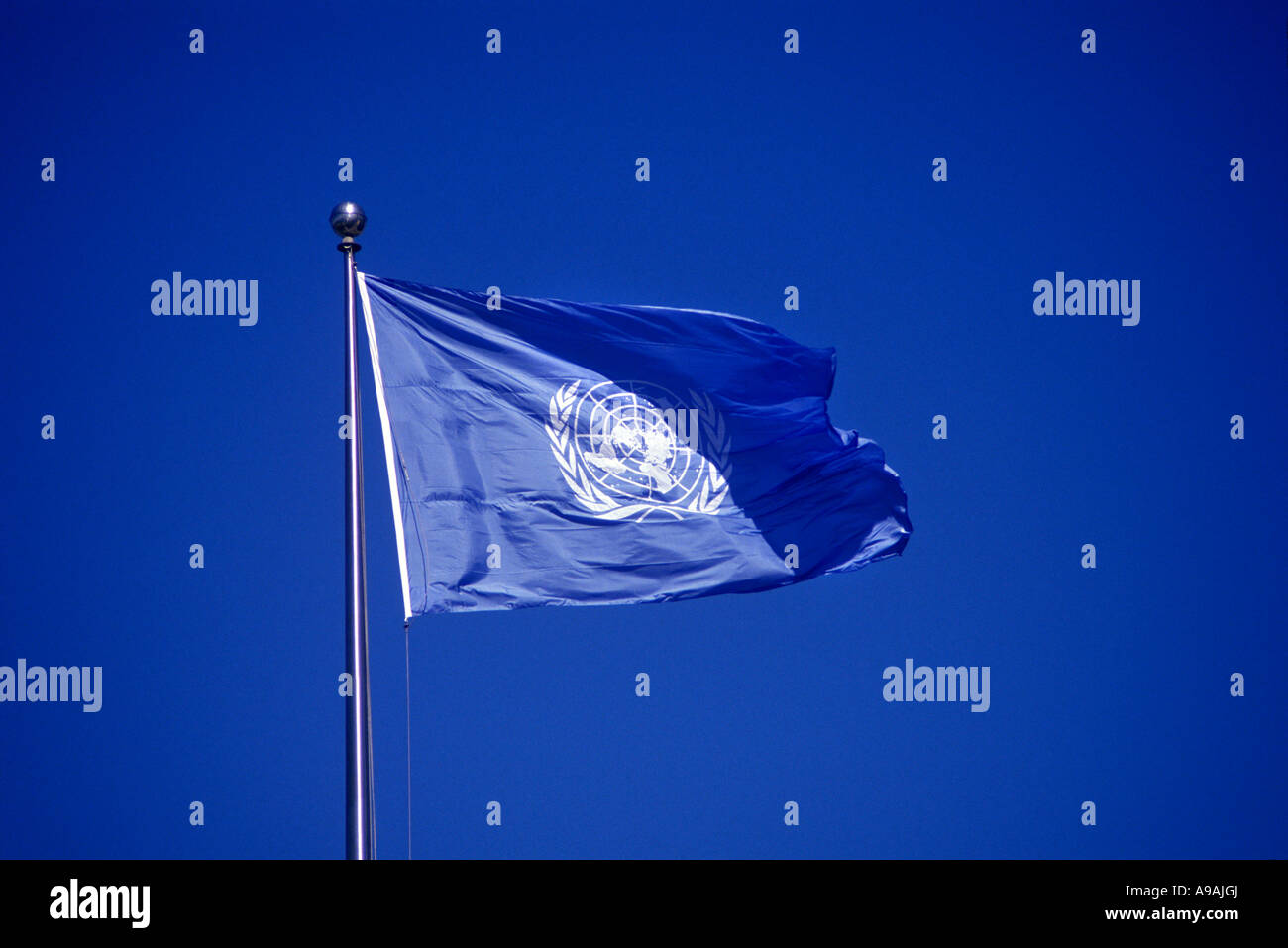 Bandiera delle Nazioni Unite battenti sul pennone con cielo blu Foto Stock