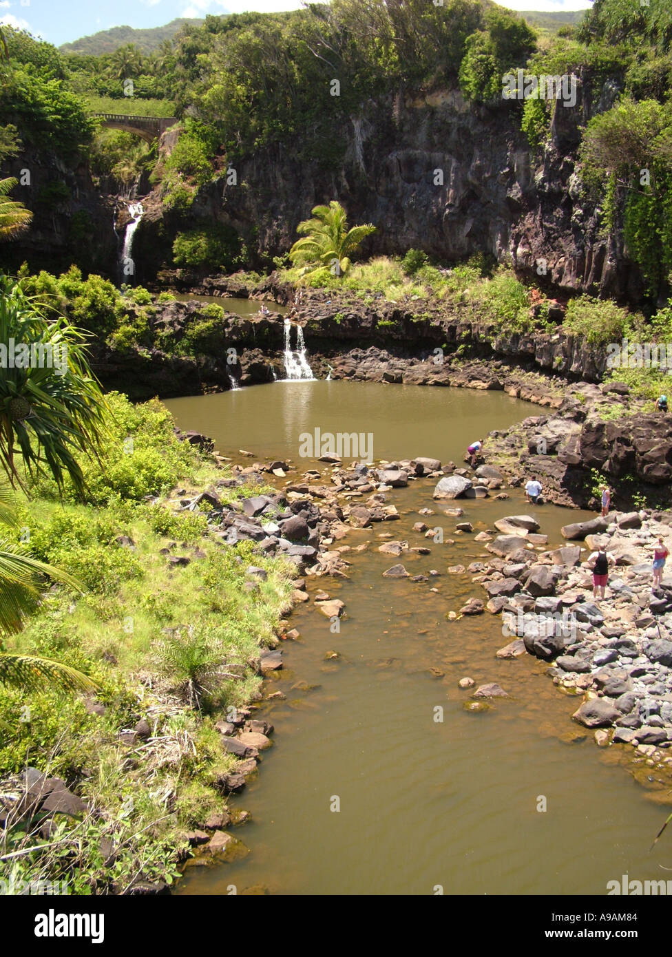 AJD41805, Maui, HI, Hawaii Foto Stock