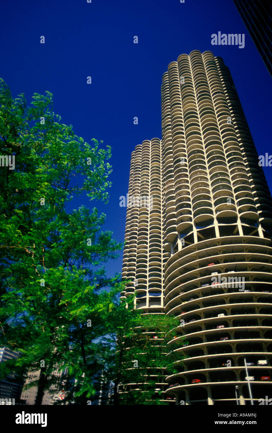 Città MARINA TOWERS (©BERTRAND GOLDBERG 1964) Il loop downtown Chicago ILLINOIS USA Foto Stock