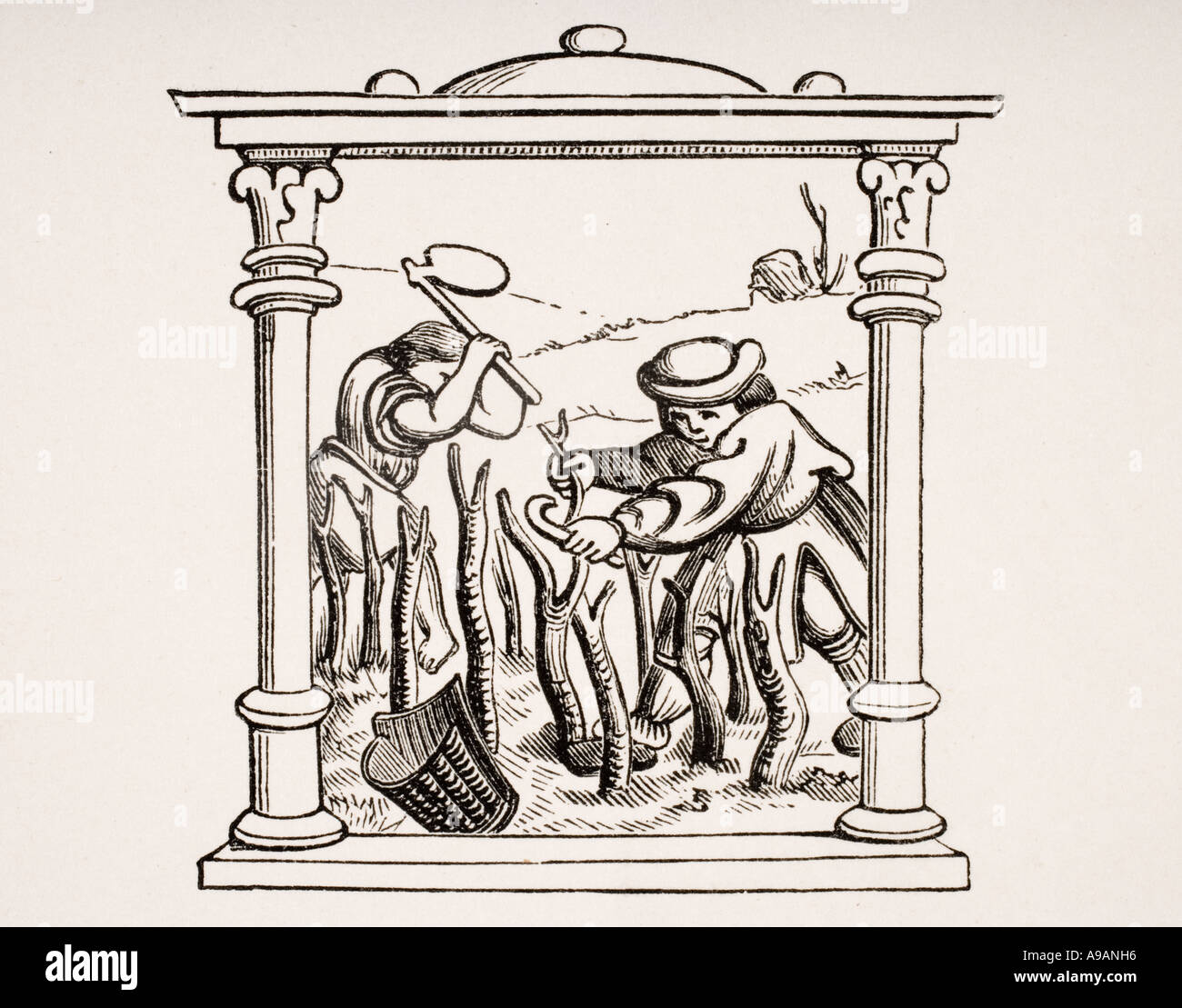 La cultura della vite. Xix secolo la riproduzione di una miniatura in un sedicesimo secolo libro di preghiera calendario. Foto Stock