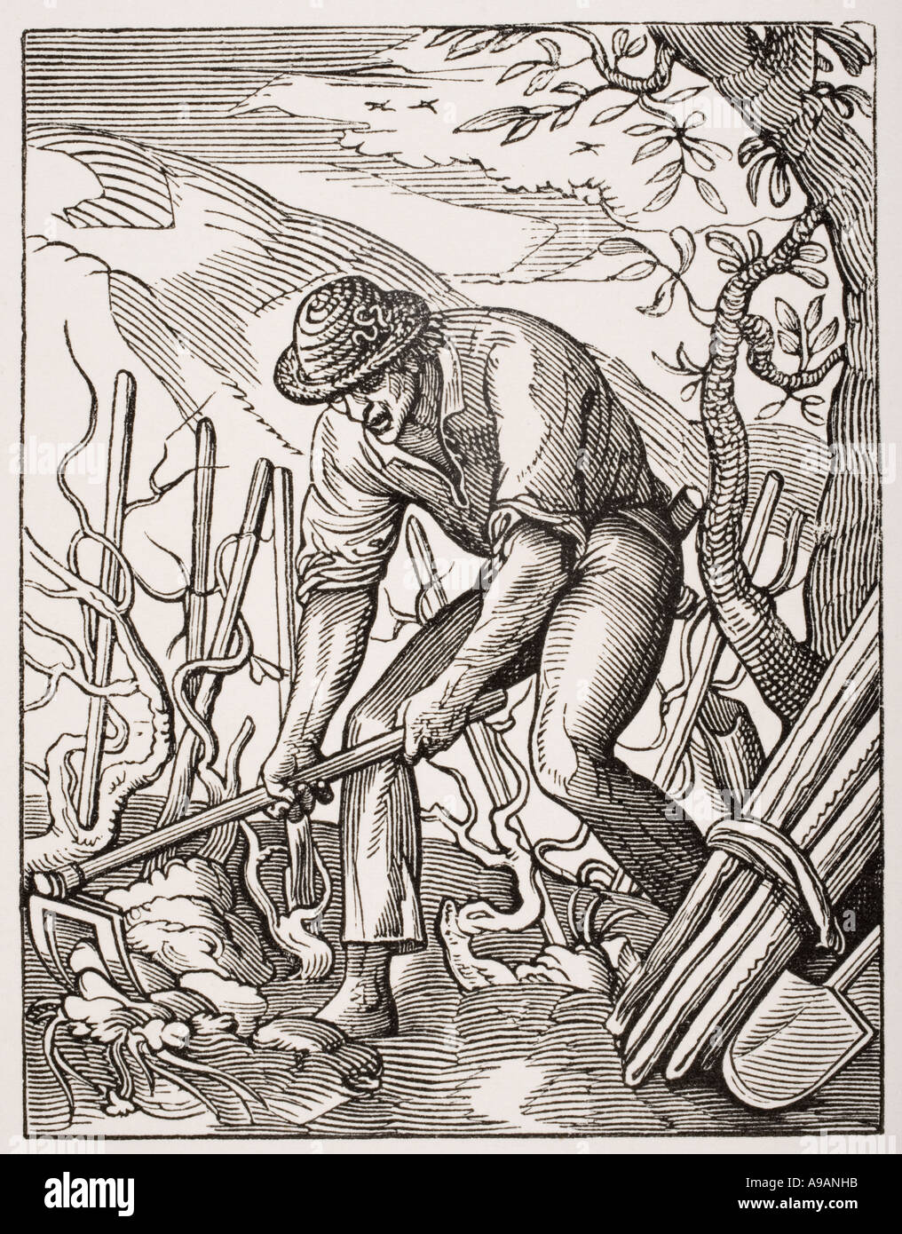 Il viticoltore. Xix secolo la riproduzione di un sedicesimo secolo incisione di Jost Amman Foto Stock