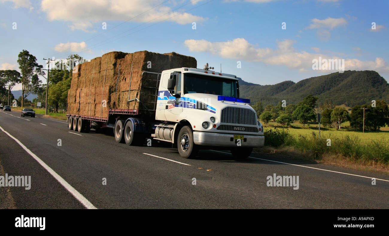 Un semi rimorchio camion stock-feed in Kangaroo Valley NSW Australia Foto Stock