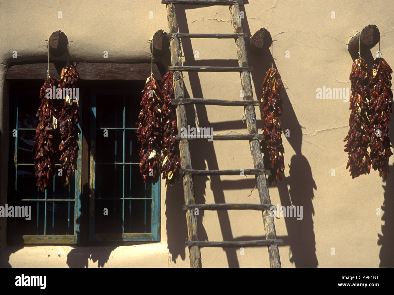 Fila di peperoncino rosso Adobe Costruzione di piazza vecchia TAOS NEW MEXICO USA Foto Stock