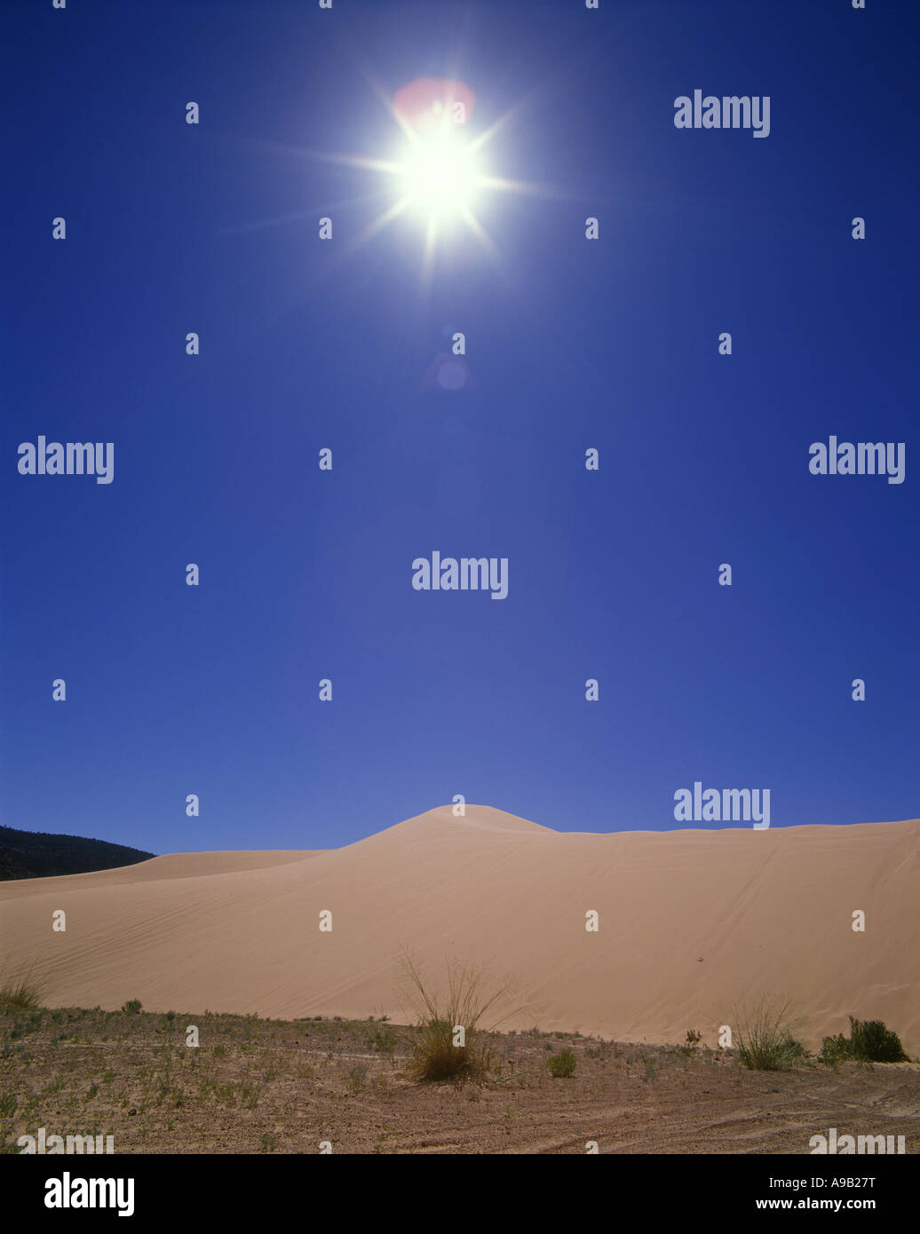 SUN scoppiano sopra Coral Pink dune di sabbia Park nello Utah Stati Uniti d'America Foto Stock