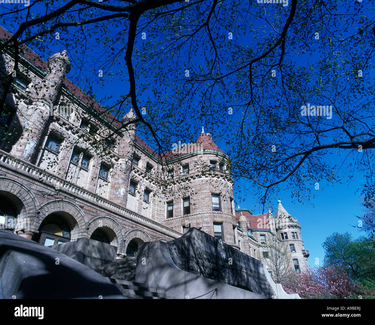 Il Museo Americano di Storia Naturale Upper Westside MANHATTAN NEW YORK CITY USA Foto Stock