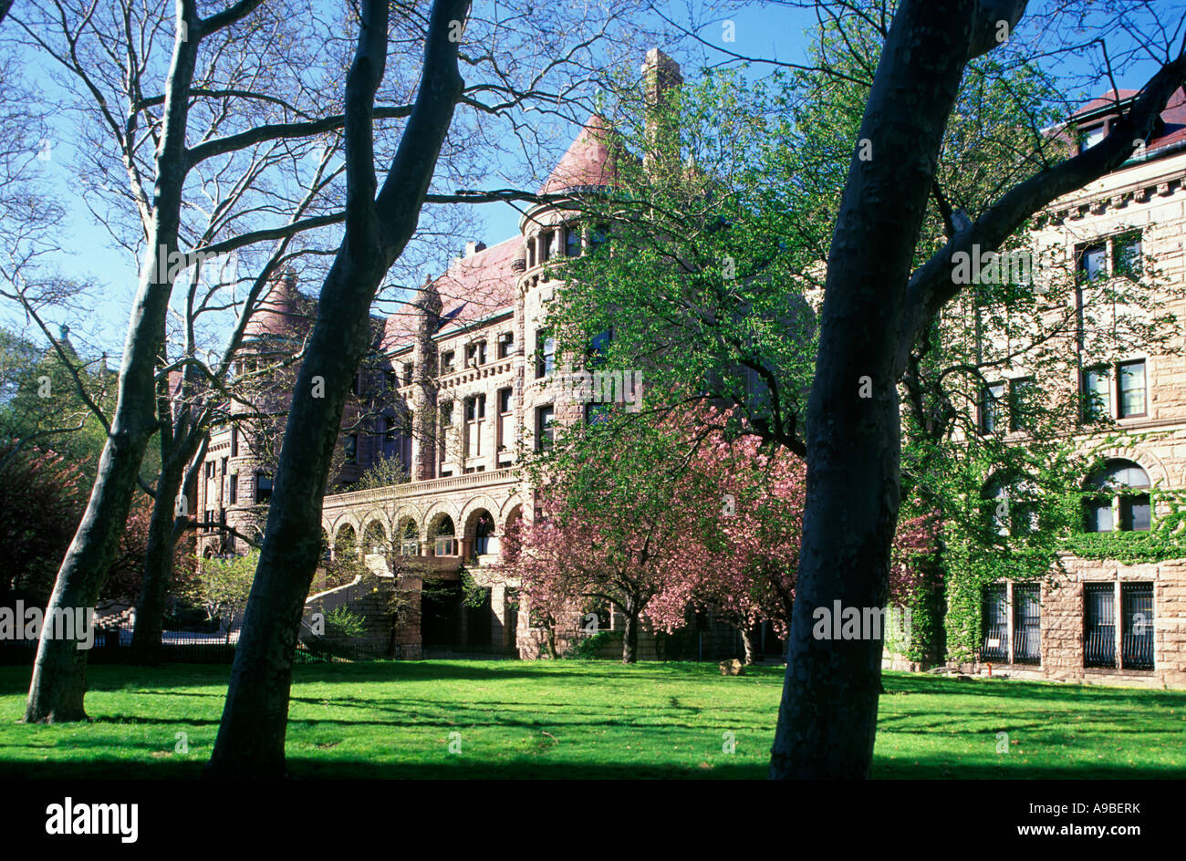 Il Museo Americano di Storia Naturale Upper Westside MANHATTAN NEW YORK CITY USA Foto Stock