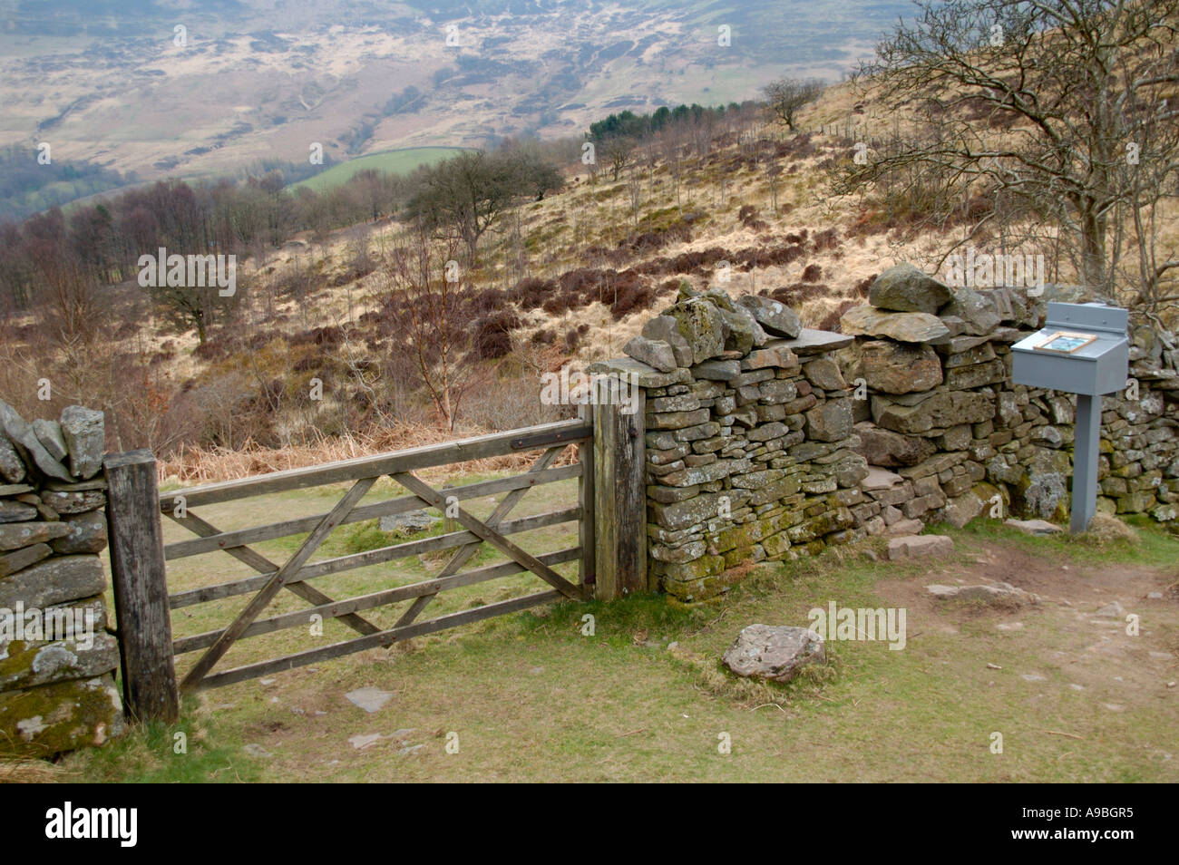 Cinque bar porta Craig Cerrig Gleisiad una ventola Frynych riserva naturale nazionale nel Parco Nazionale di Brecon Beacons Powys South Wales UK Foto Stock