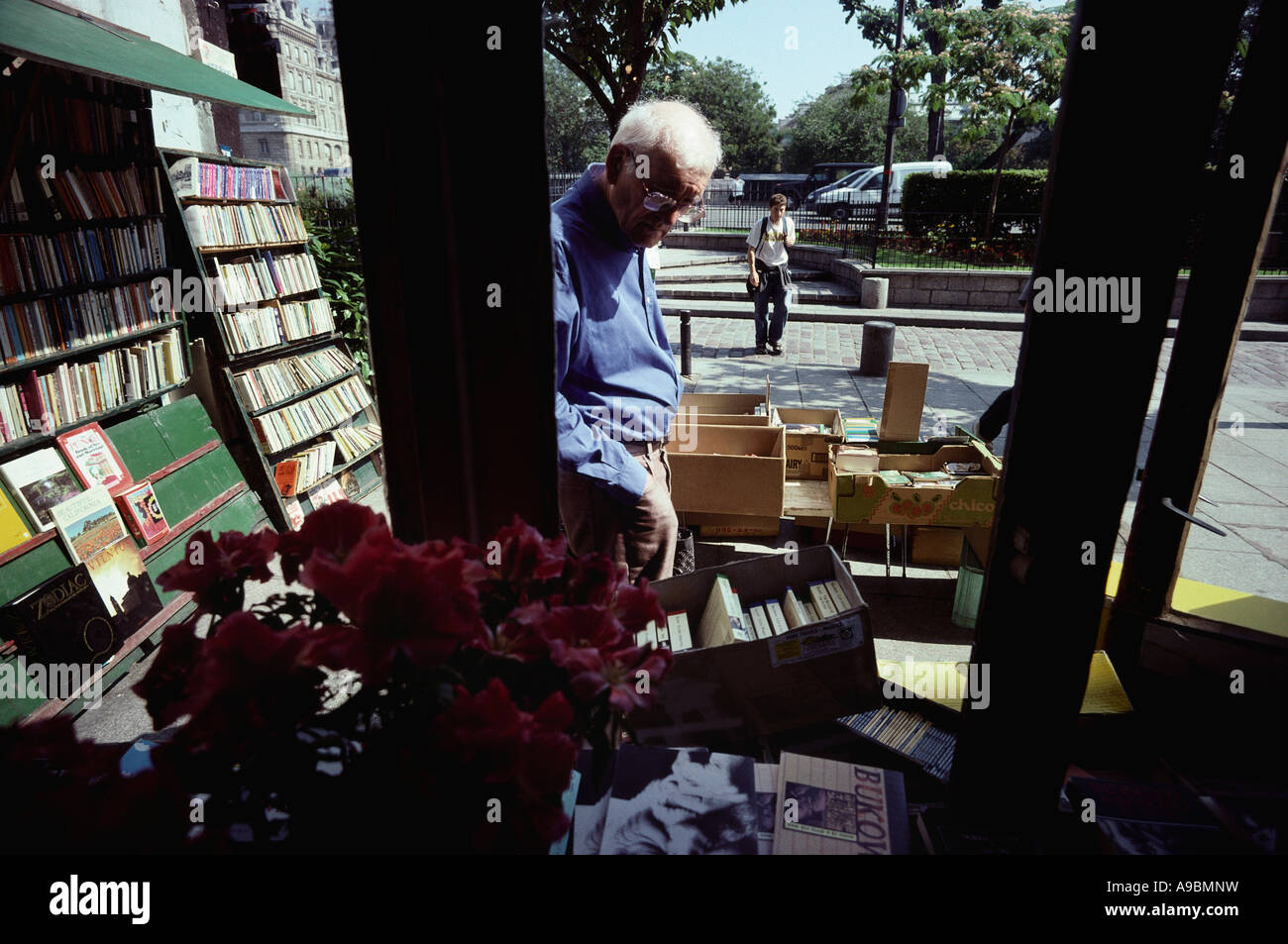 Parigi Francia un uomo la navigazione in vetrina della libreria Shakespeare & Co Foto Stock