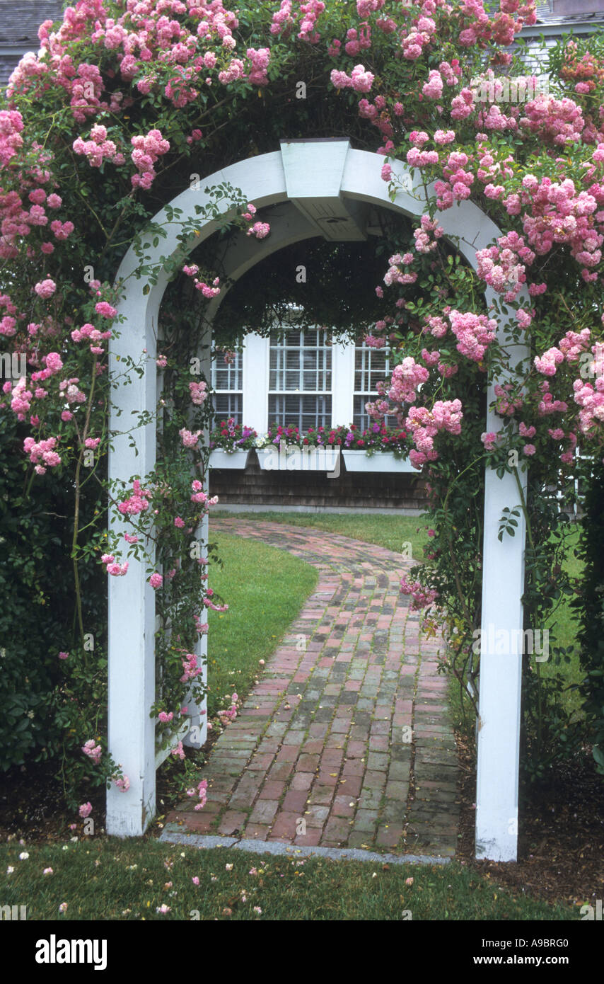 Rambling rose decorano la porta ad arco per un Massachusetts home Foto Stock