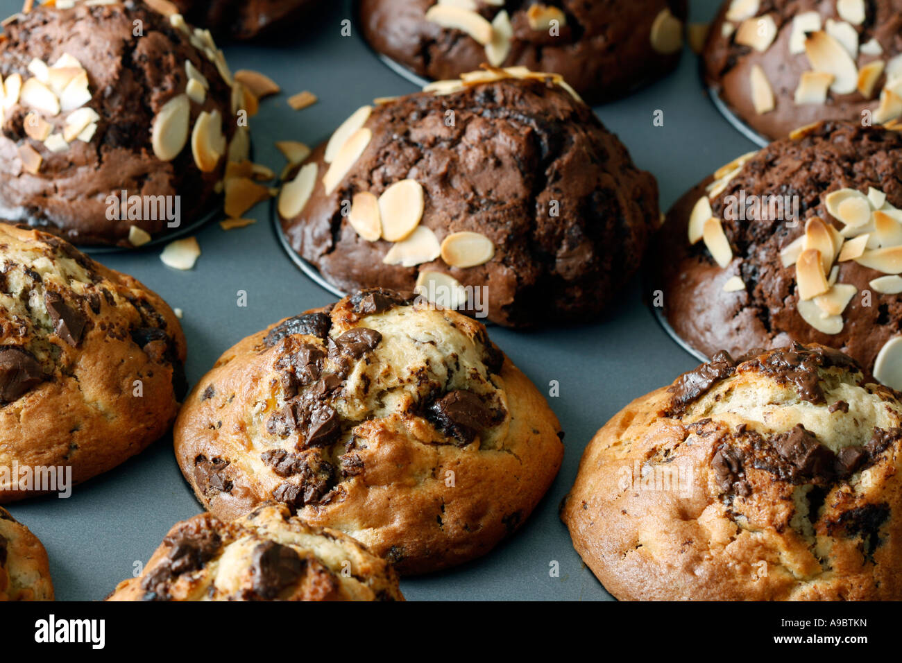 Deliziosi e freschi e cioccolato chocolate chip muffin Foto Stock