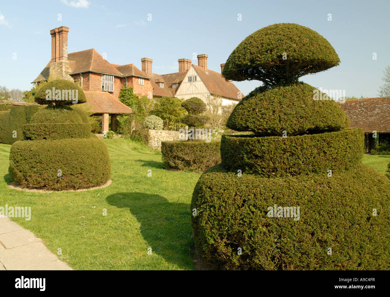 Topiaria da nei giardini a Great Dixter, East Sussex. Foto Stock