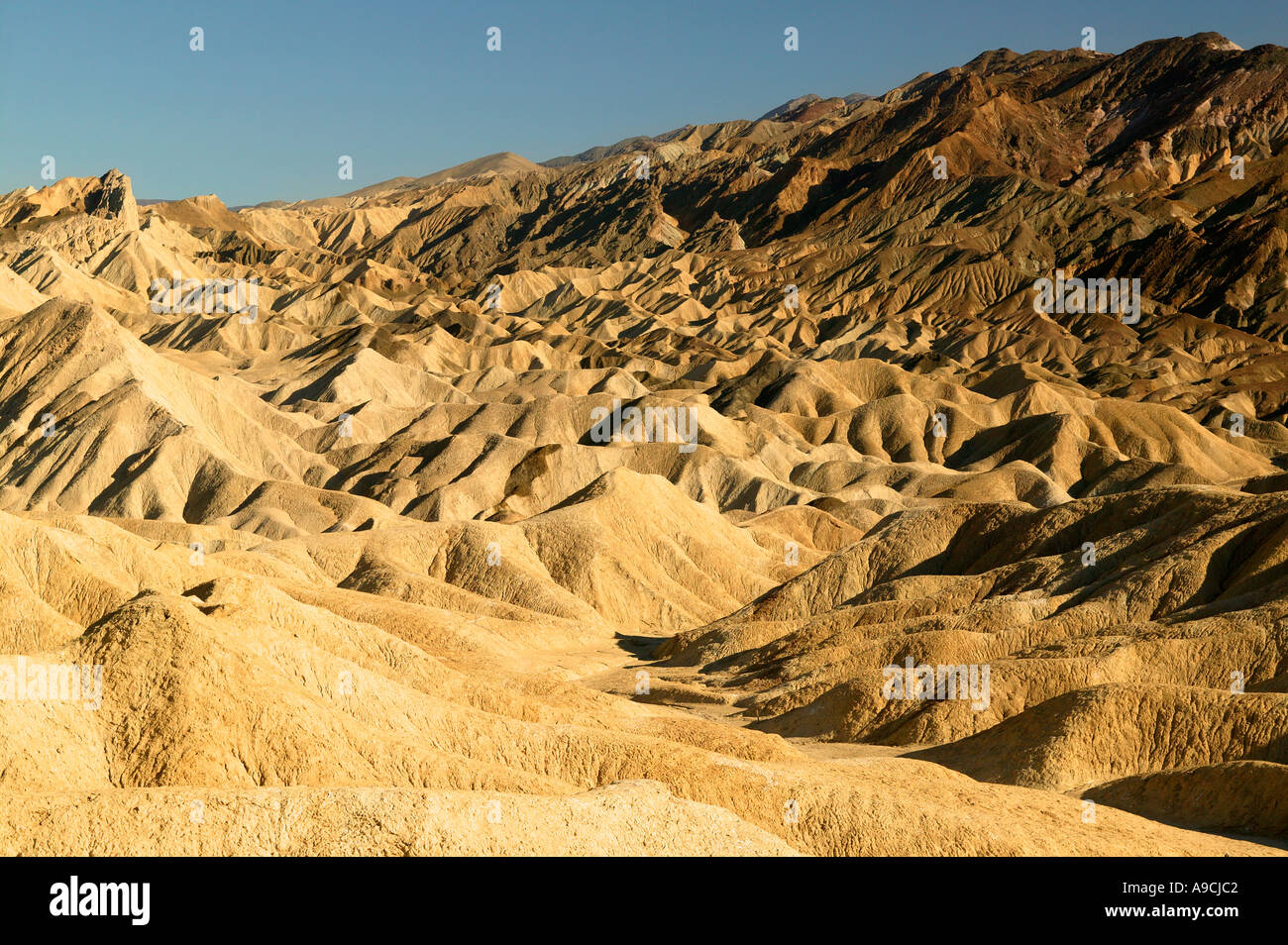 Ricerca di Gower Gulch verso Zabriskie Point Parco Nazionale della Valle della Morte in California Foto Stock