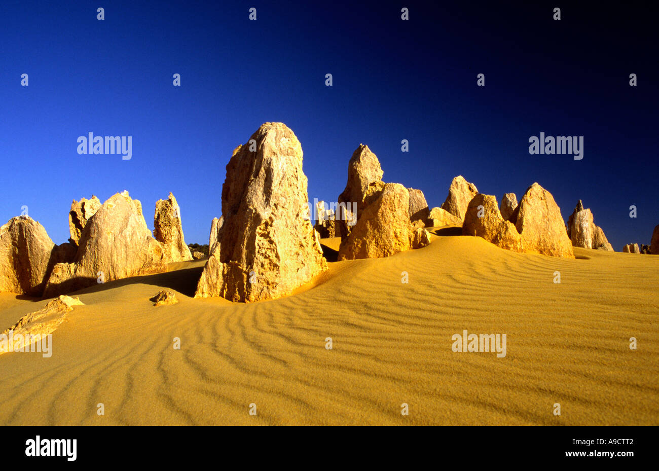 Il Deserto Pinnacles Nambung National Park Australia Occidentale Foto Stock