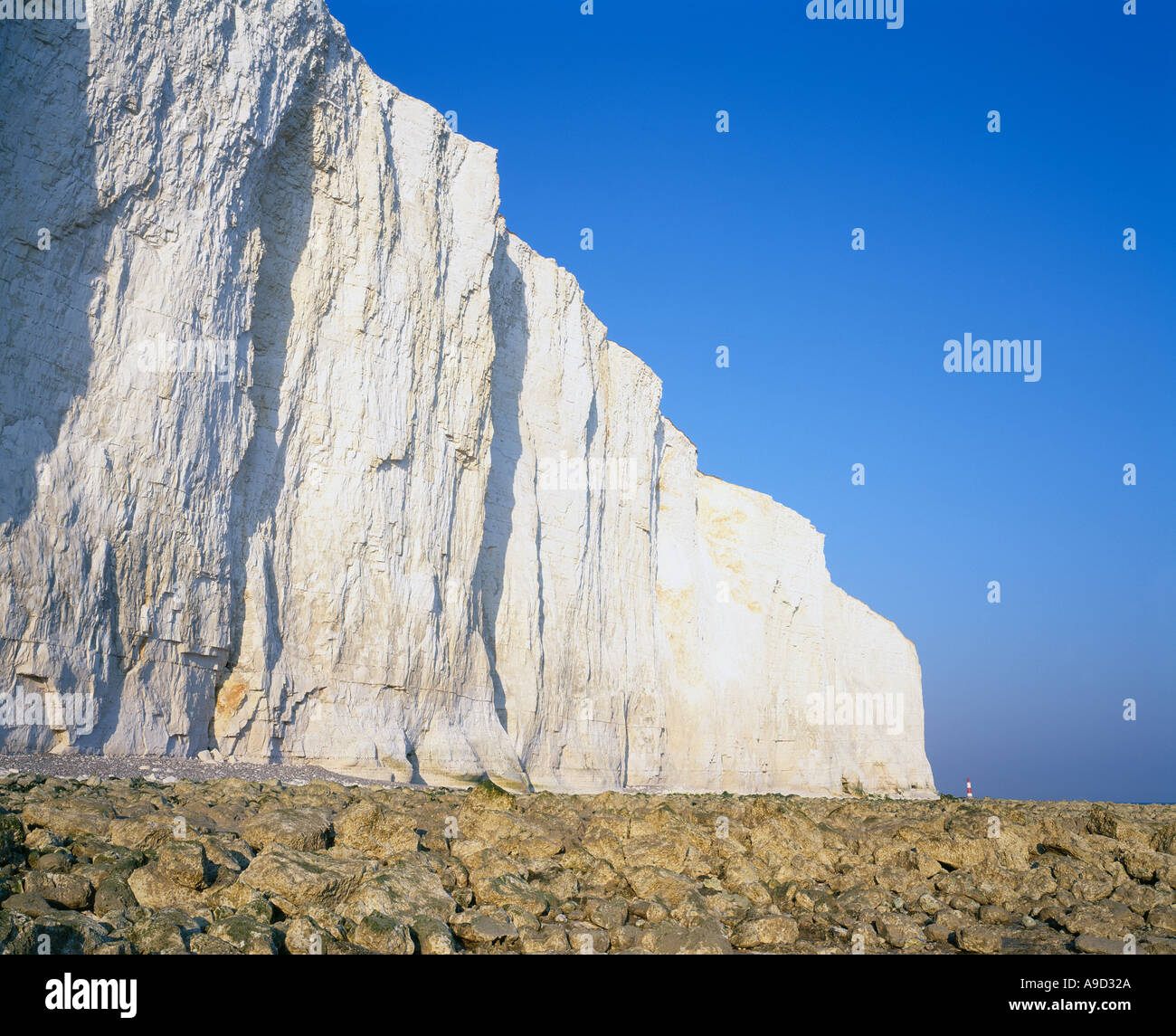 Beachy Head, South Downs, East Sussex, England, Regno Unito, GB. Foto Stock