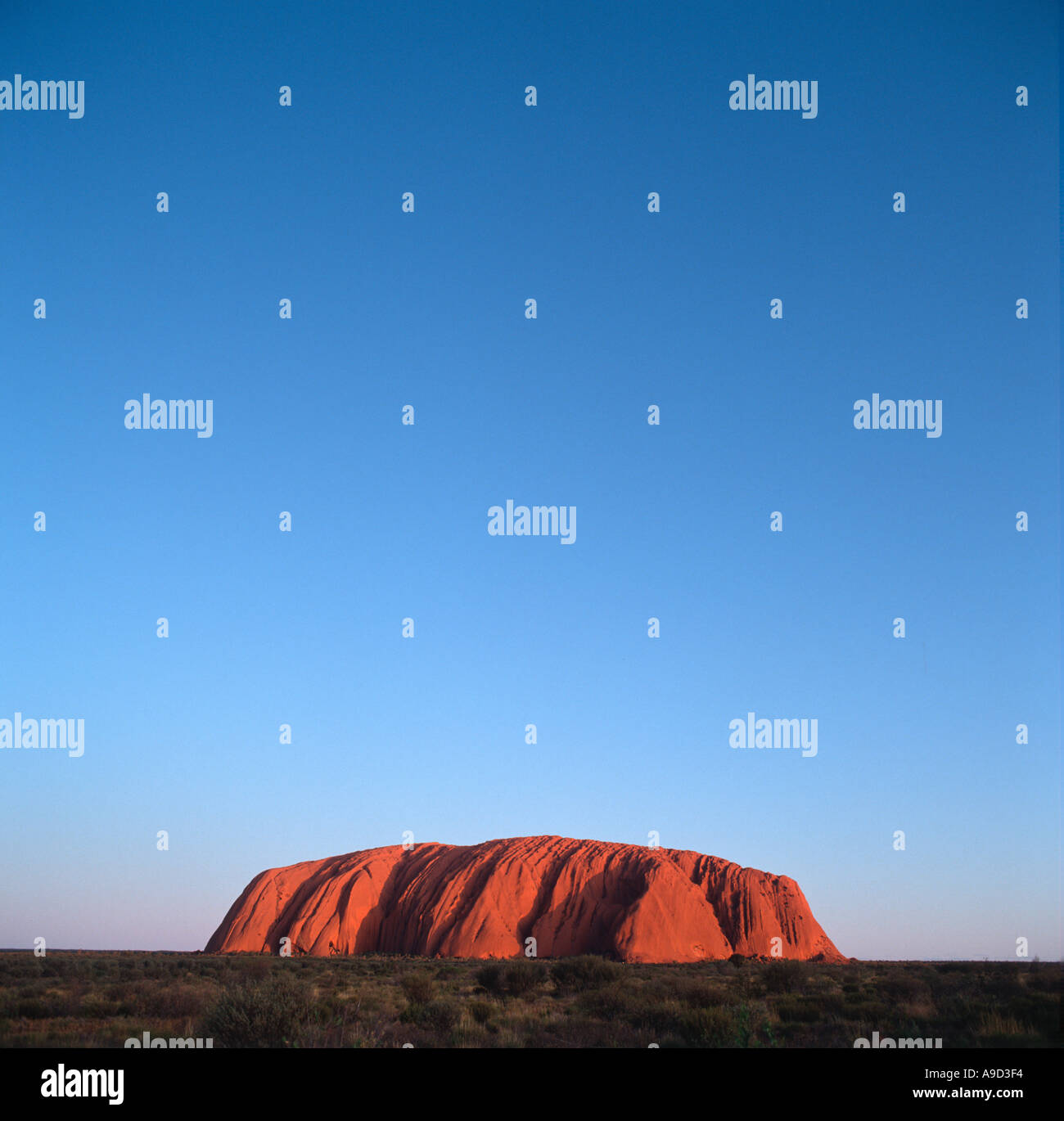 Ayers Rock (Uluru) al tramonto, Parco Nazionale di Uluru, Territorio del Nord, l'Australia Foto Stock