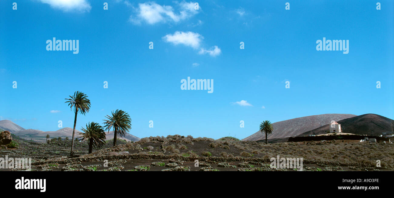 Tipico paesaggio vicino al Parco Nazionale di Timanfaya, Lanzarote, Isole Canarie, Spagna Foto Stock