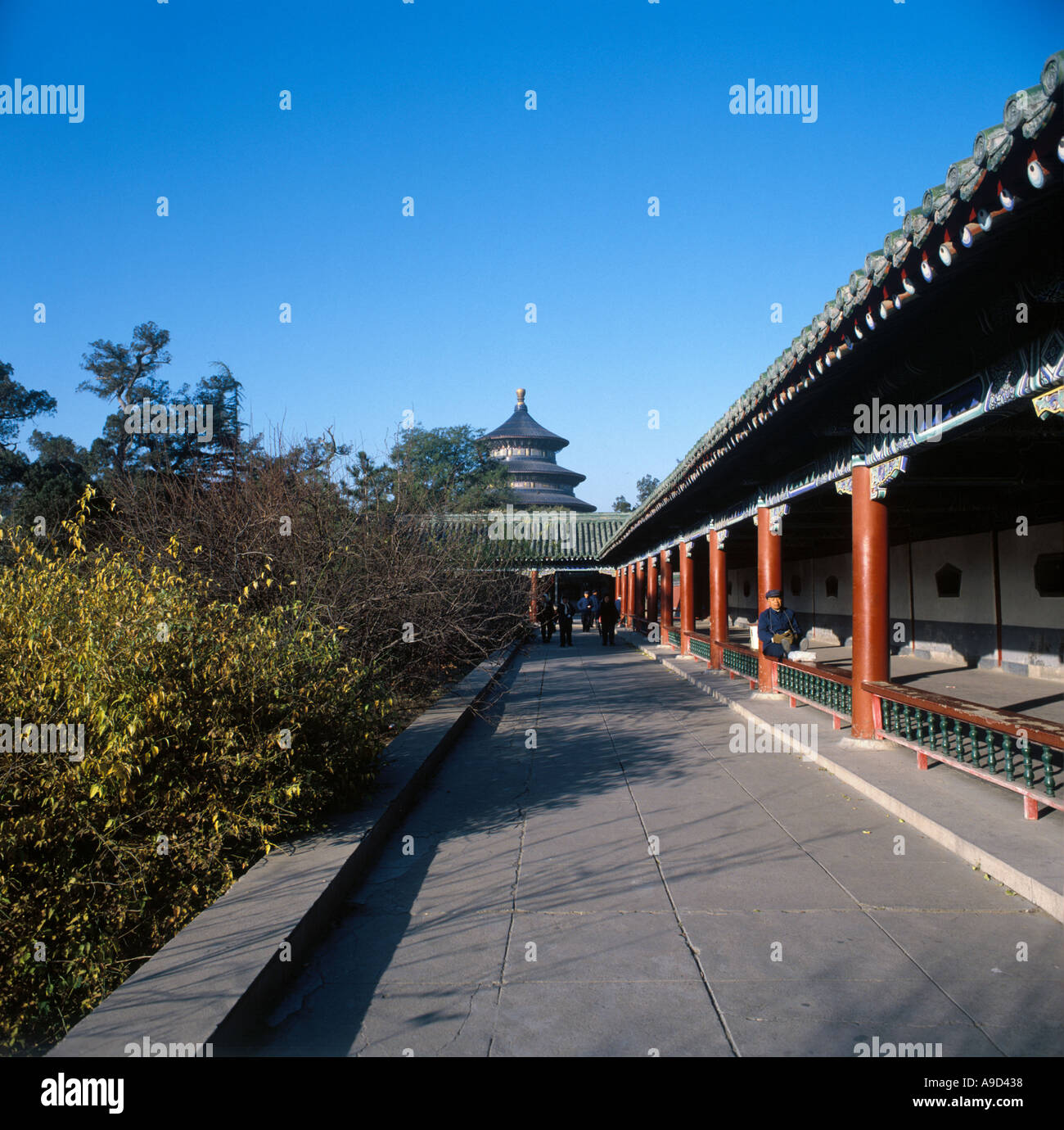 Motivi del Tempio del Paradiso, Pechino, Cina, prese nel 1987 prima del processo di riforma e di modernizzazione Foto Stock