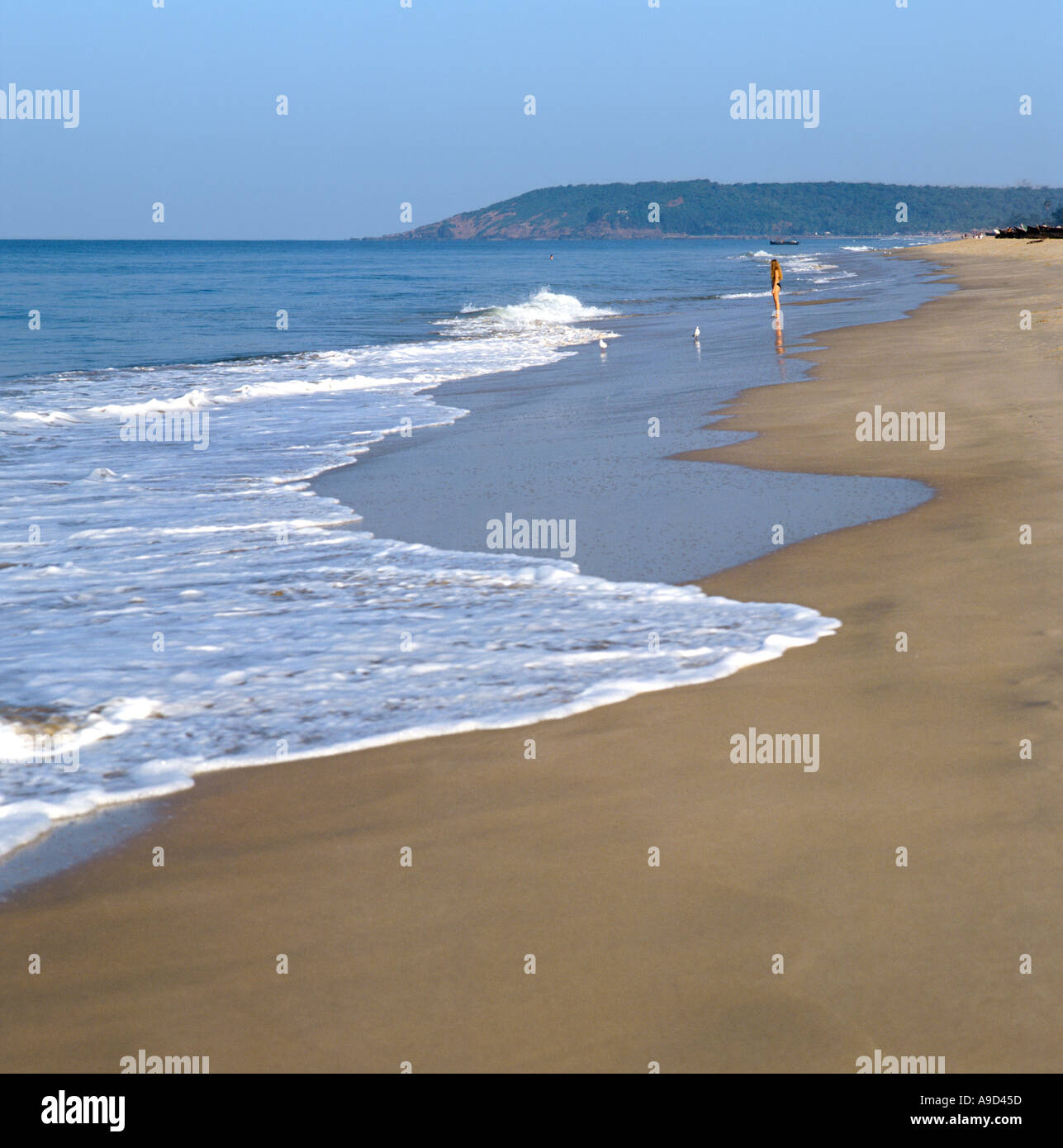 Spiaggia di Calangute nel tardo pomeriggio, Goa nord, Goa, India Foto Stock