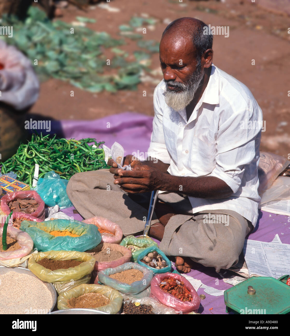 Venditore di spezie al mercato di Mapusa, Goa nord, Goa, India Foto Stock