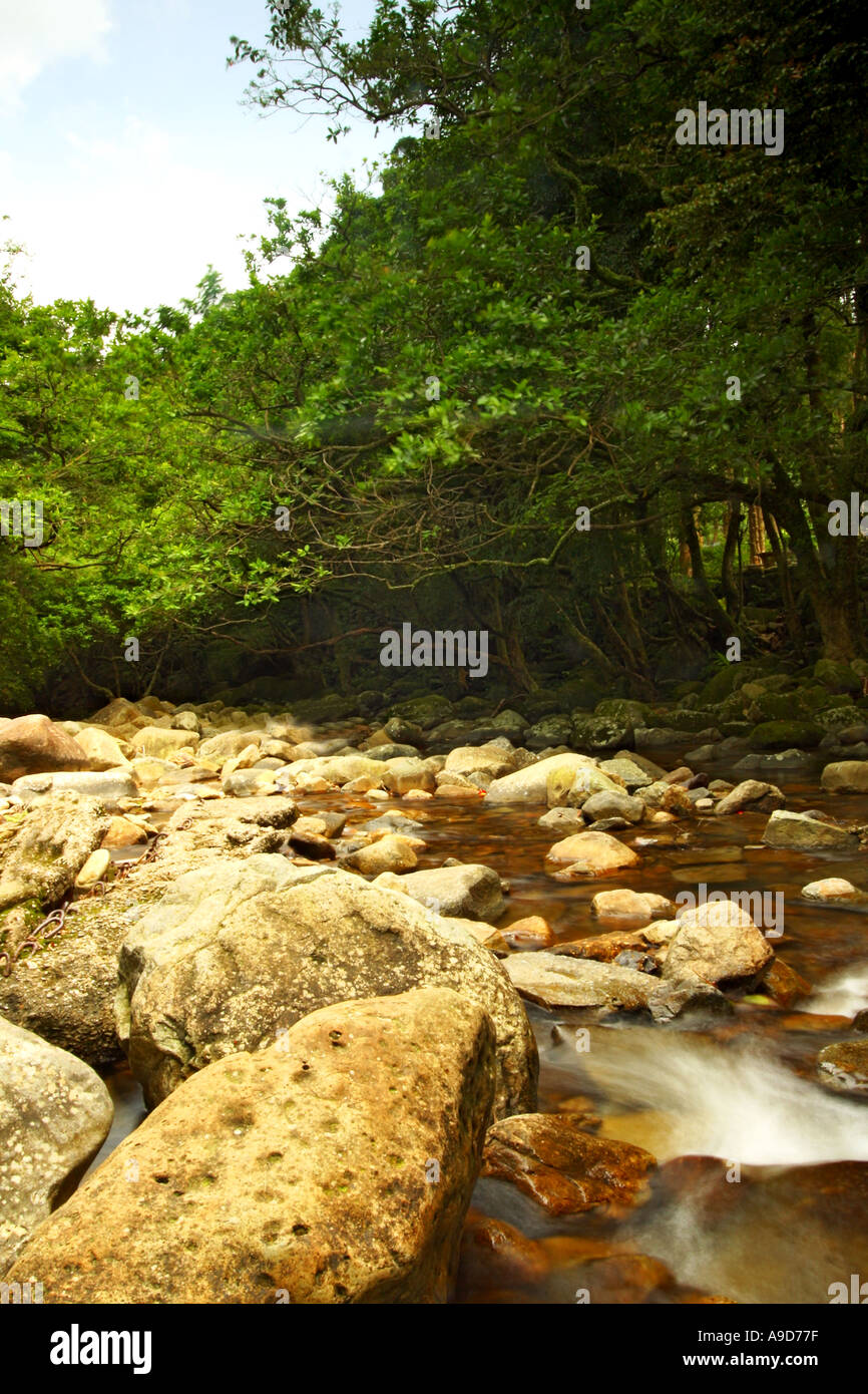 Paesaggio di flusso della thailandia relax corsa di ripristino Foto Stock