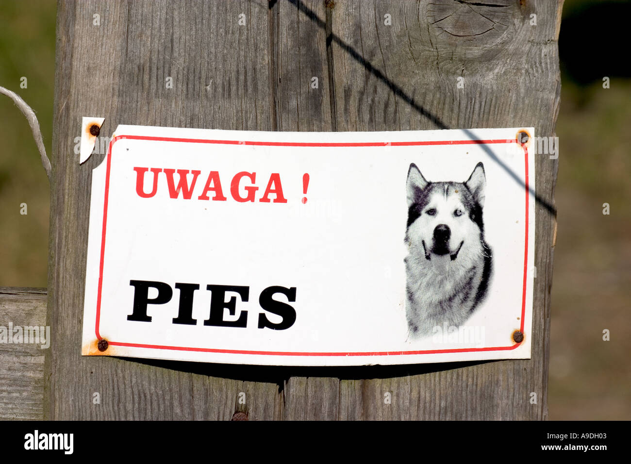 Fate attenzione a un cane vizioso di firmare in polacco. Zawady Polonia Foto Stock