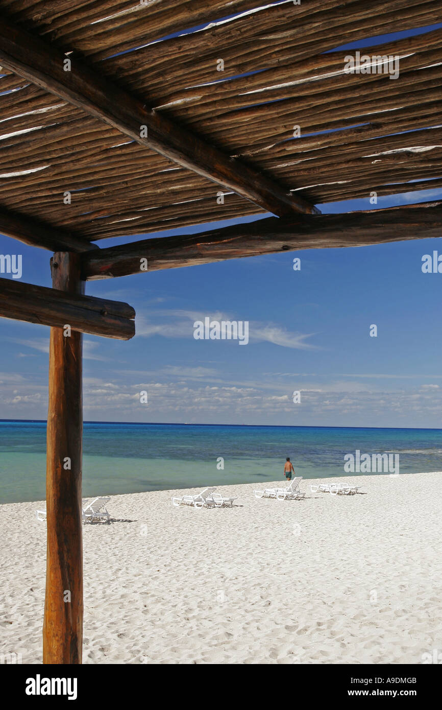 Spiaggia caraibica , Cozumel, Messico Foto Stock