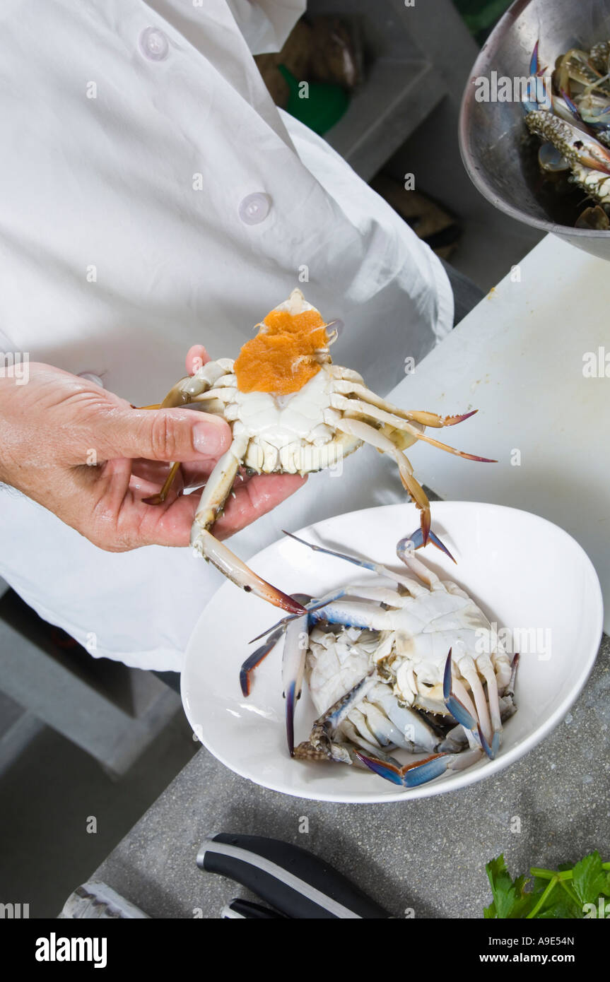 Lo chef prepara i granchi per la cottura Foto Stock