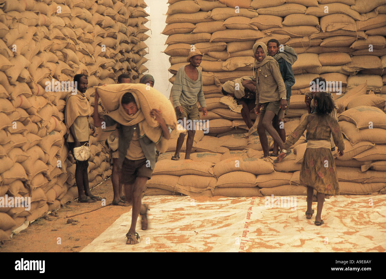I giovani portano pesanti sacchi nella Unione europea della distribuzione alimentare tenda piena di sacchi di grano Sekota Etiopia Foto Stock