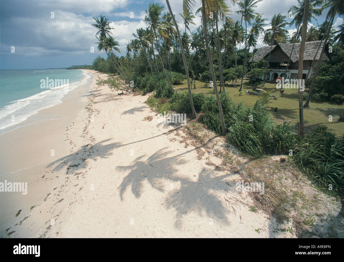 Vista della spiaggia che mostra le ombre di palme sulla costa del Kenya Foto Stock