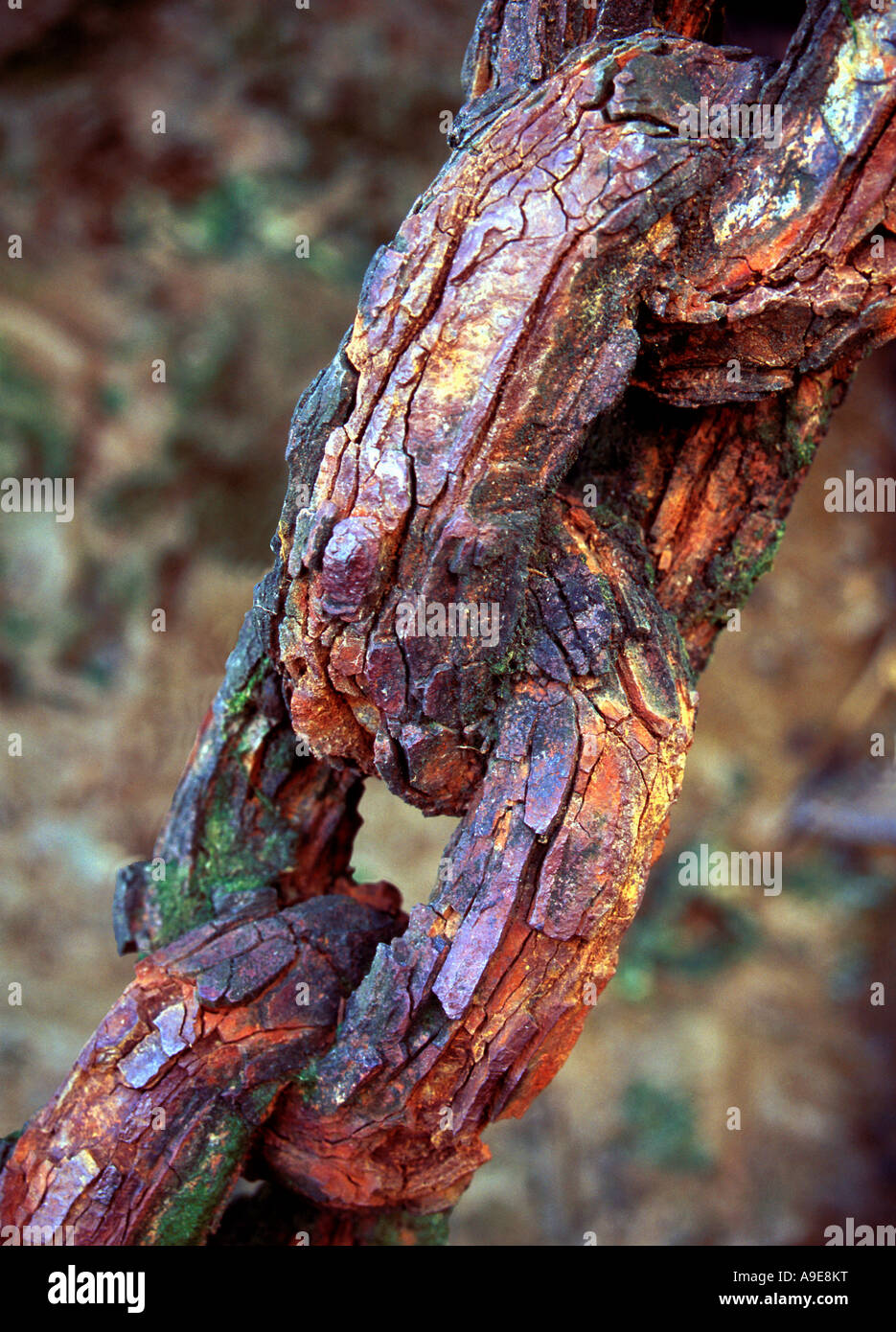 Vecchia catena di ruggine Foto Stock