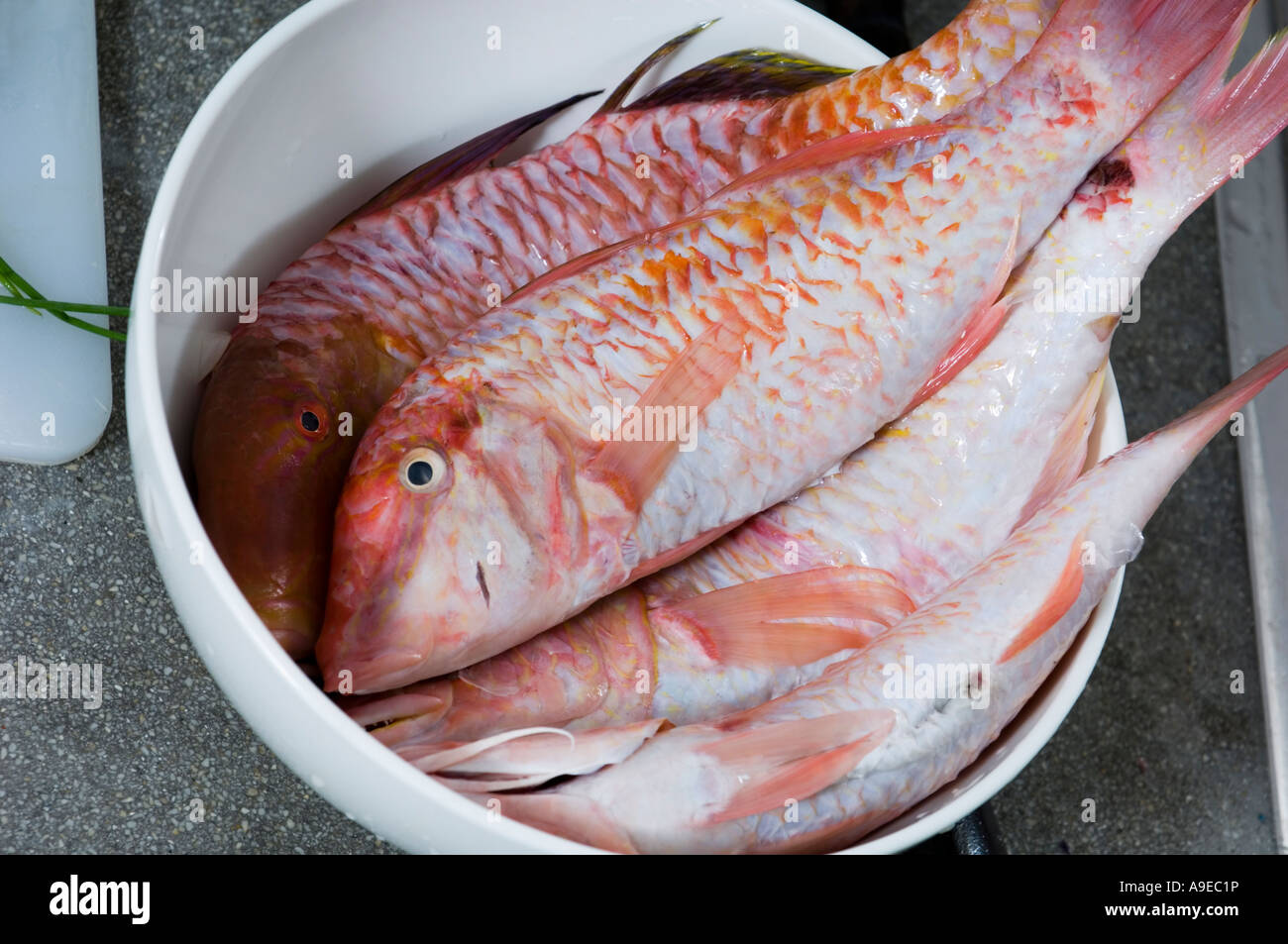 triglie fresche Foto Stock triglie fresche Foto Stock