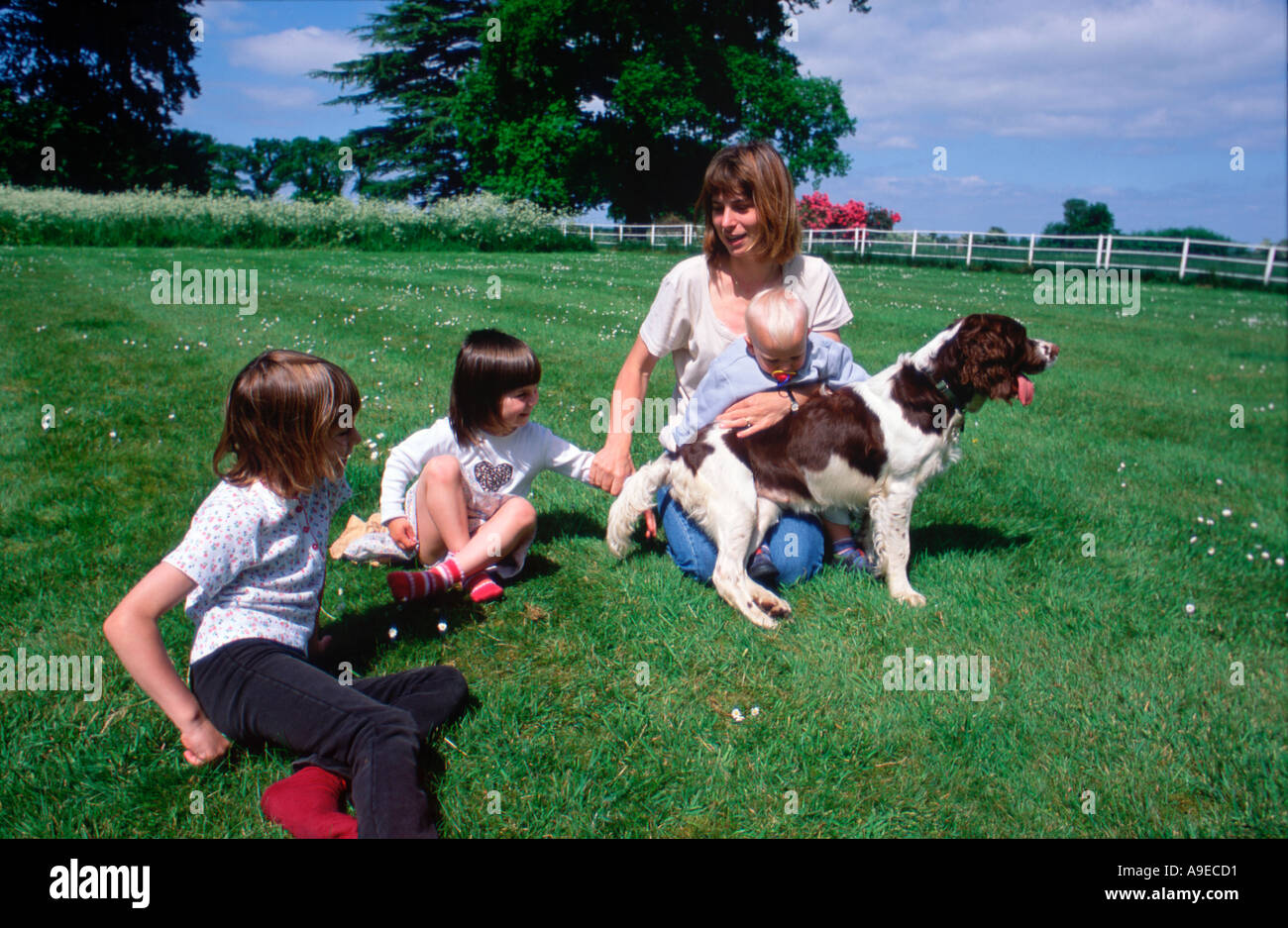 Gruppo di famiglia in estate sul prato con cocker spaniel cane madre 33 anni figlia di 4 anni la figlia di 6 anni figlio 1 anno Foto Stock