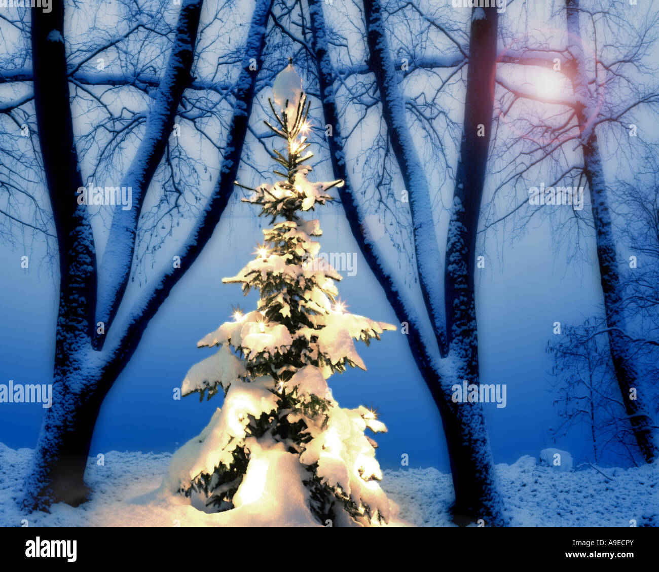 DE - Baviera: Natale scena lungo il lago di Kochel Foto Stock