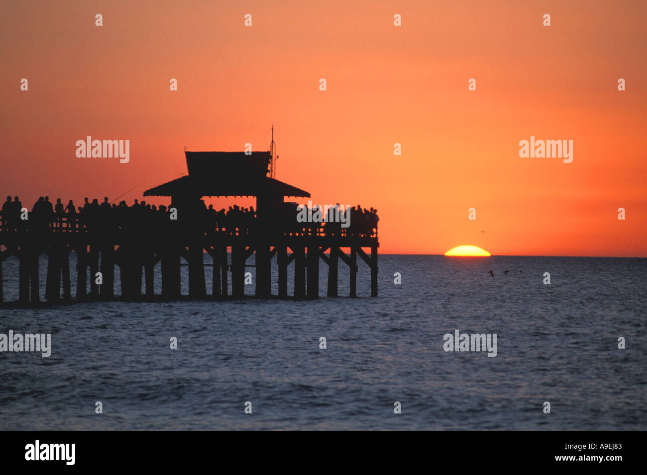 Florida Naples Pier tramonto folla di persone sul molo silhouette orange sky Foto Stock