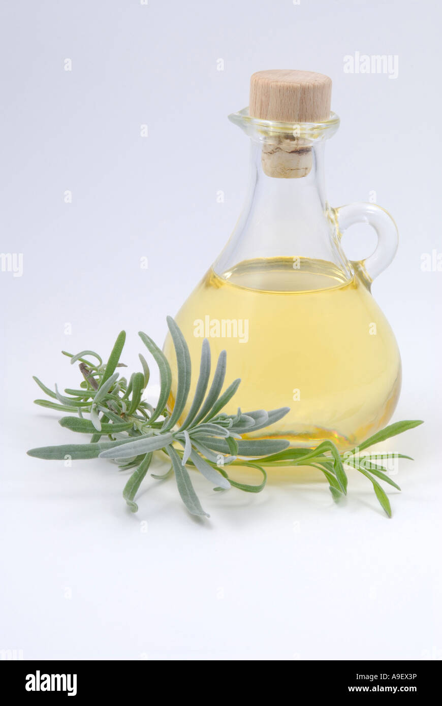 Inglese Lavanda, ramoscello e una piccola bottiglia con olio di lavanda, studio immagine Foto Stock