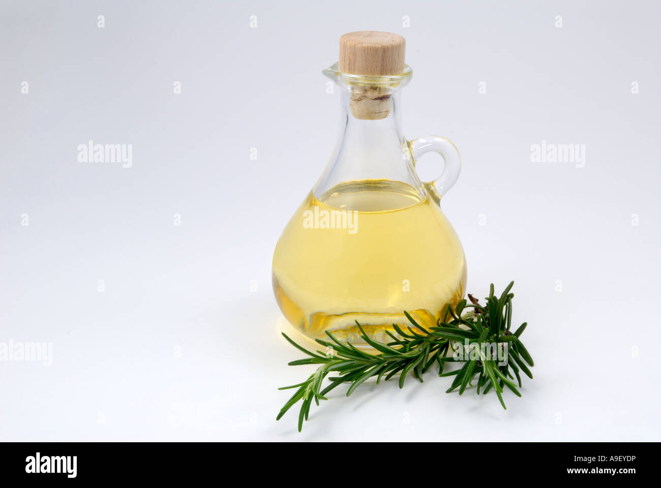 Il rosmarino (Rosmarinus officinalis), ramoscello e una piccola bottiglia con olio di rosmarino, studio immagine Foto Stock