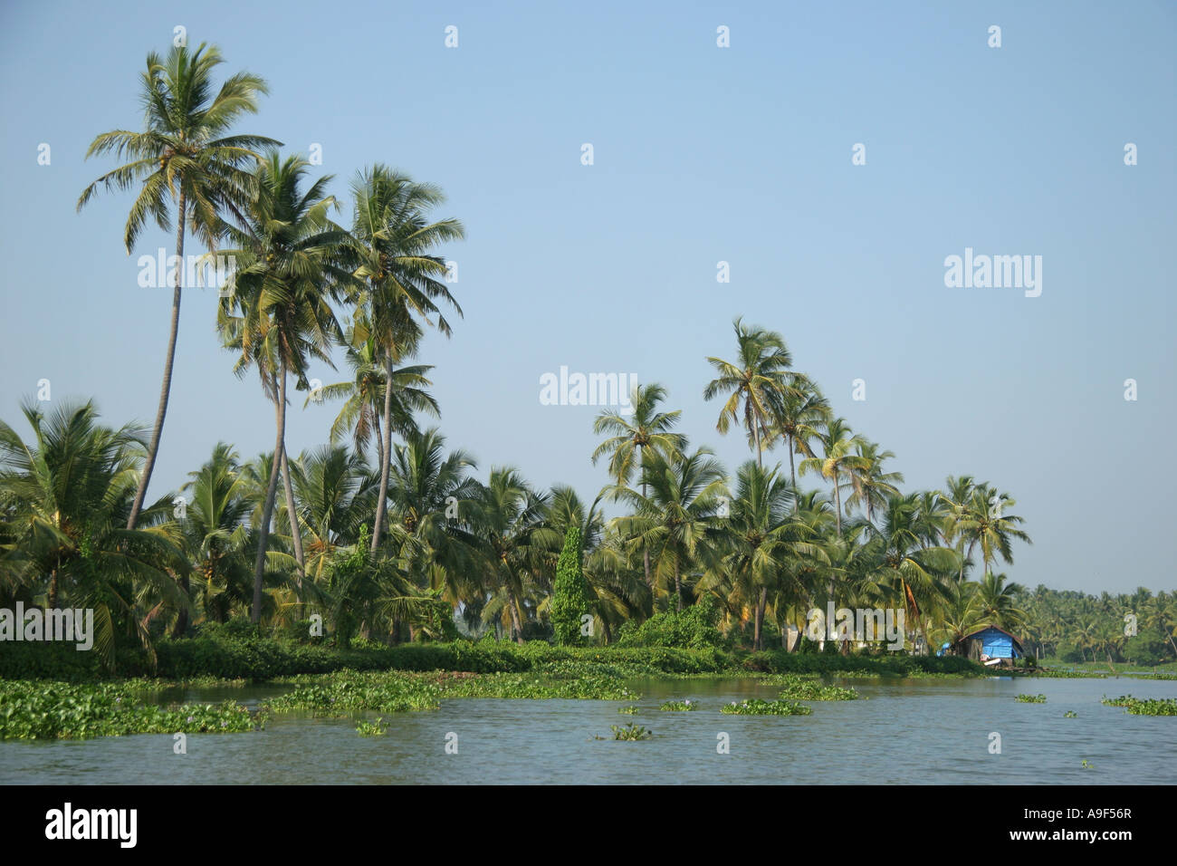 La casa di famiglia sul bordo del Lago Vembanad vicino a Kochi (Cochin), Kerala, India del Sud Foto Stock