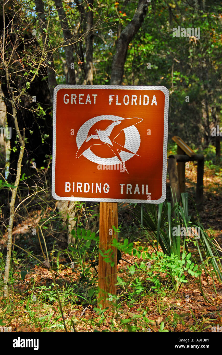 Suwannee River State Park Florida grande Florida Birding Trail segno marcatore nessuno Foto Stock