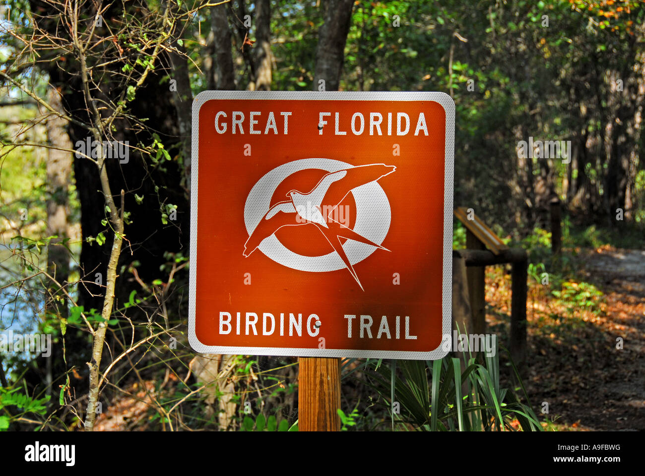 Suwannee River State Park Florida Florida grande Florida Birding Trail segno marcatore nessuno Foto Stock