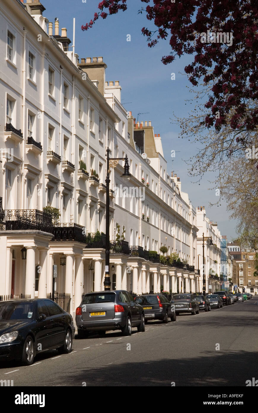 Chester square, il quartiere di Belgravia. City of Westminster. London SW1. In Inghilterra. HOMER SYKES Foto Stock