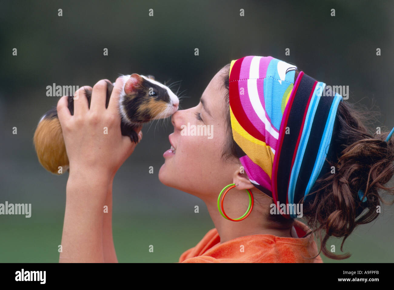 Ragazza smoching cavy, cavia (cavia spec.). Foto Stock