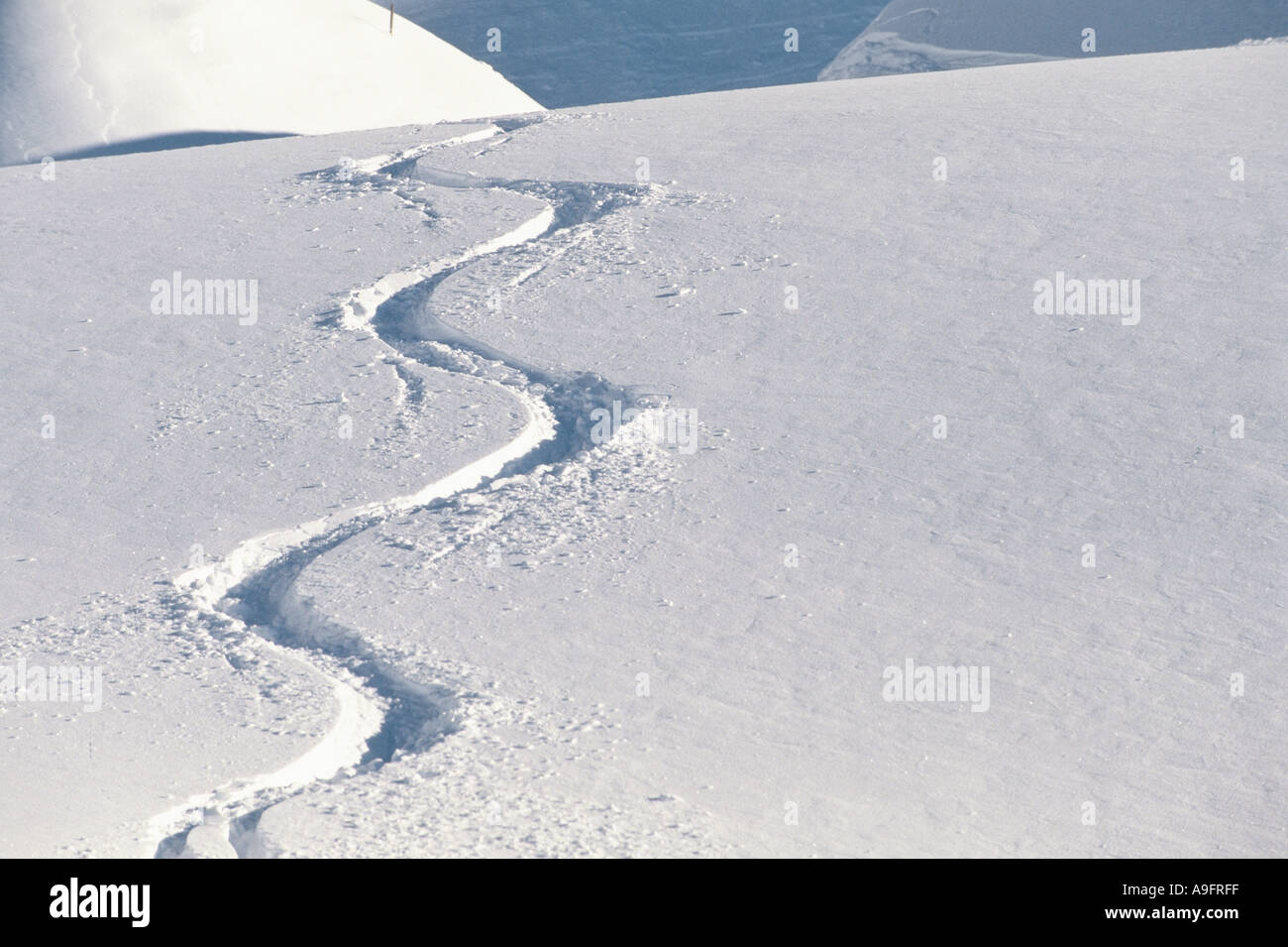 La via di uno sciatore in polvere profonda. Foto Stock