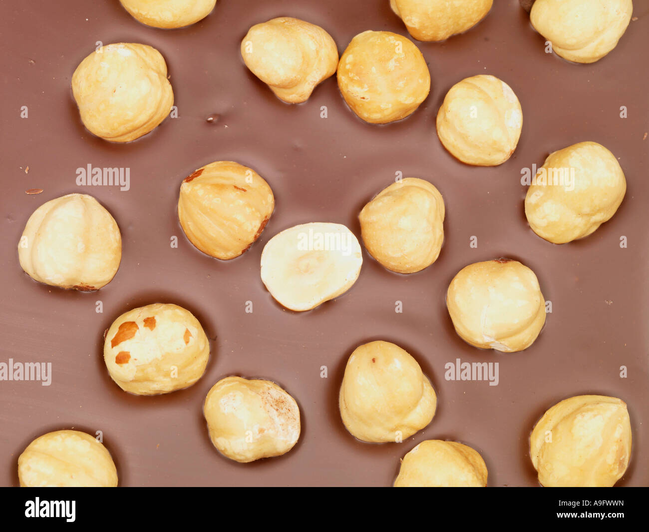 Ricca di cioccolato con nocciole Foto Stock