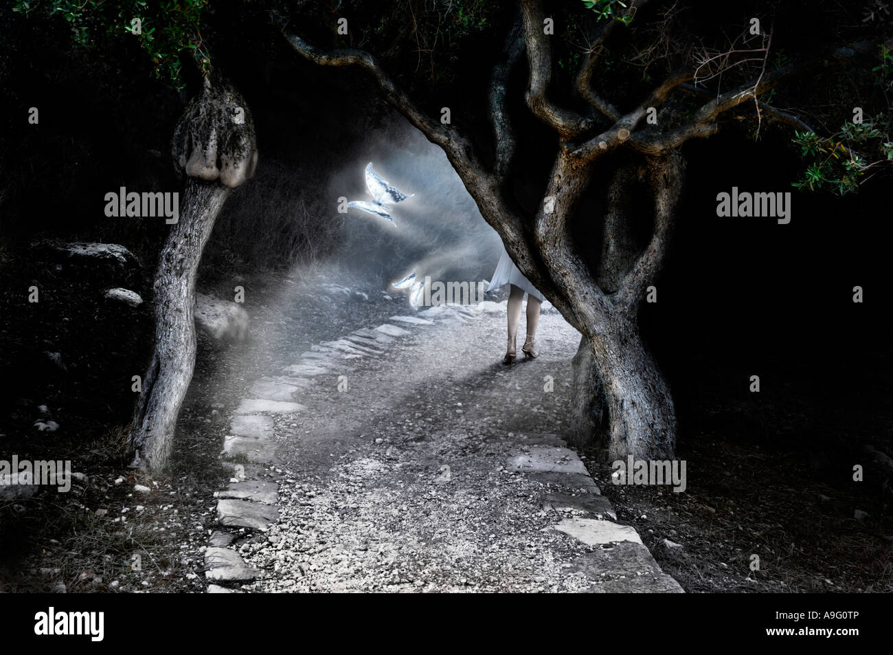 Donna entrando in un bel misty fairy night foresta magica Alice nel paese delle meraviglie dell'arte Foto Stock