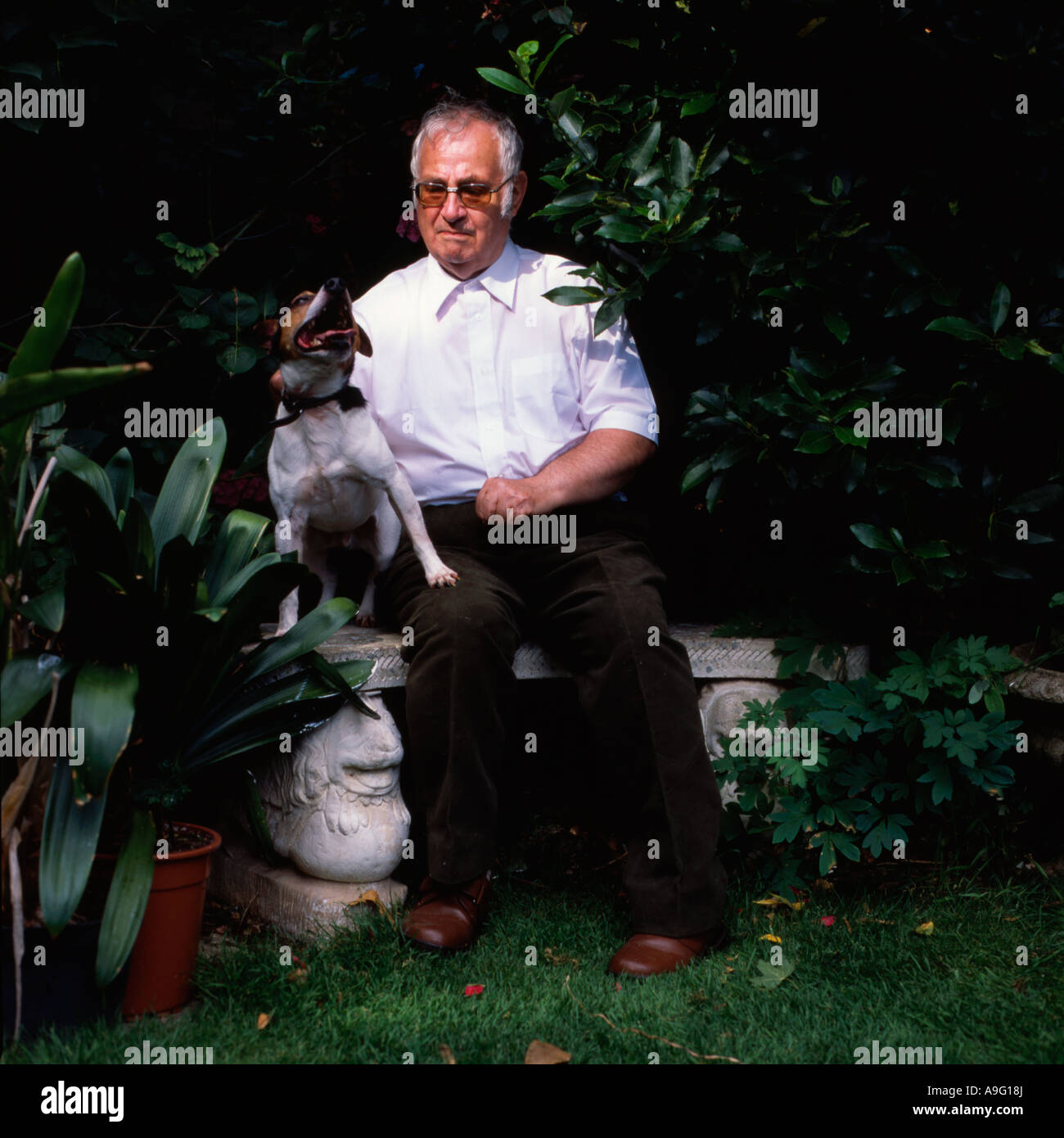 Zio Bug Billy il suo terrier Jack Rusell Foto Stock
