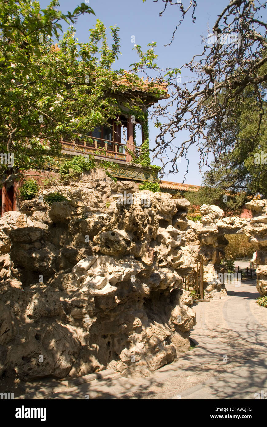 Museo del Palazzo Imperiale (Città Proibita) giardino con Taihu pietre e alberi in fiore Foto Stock