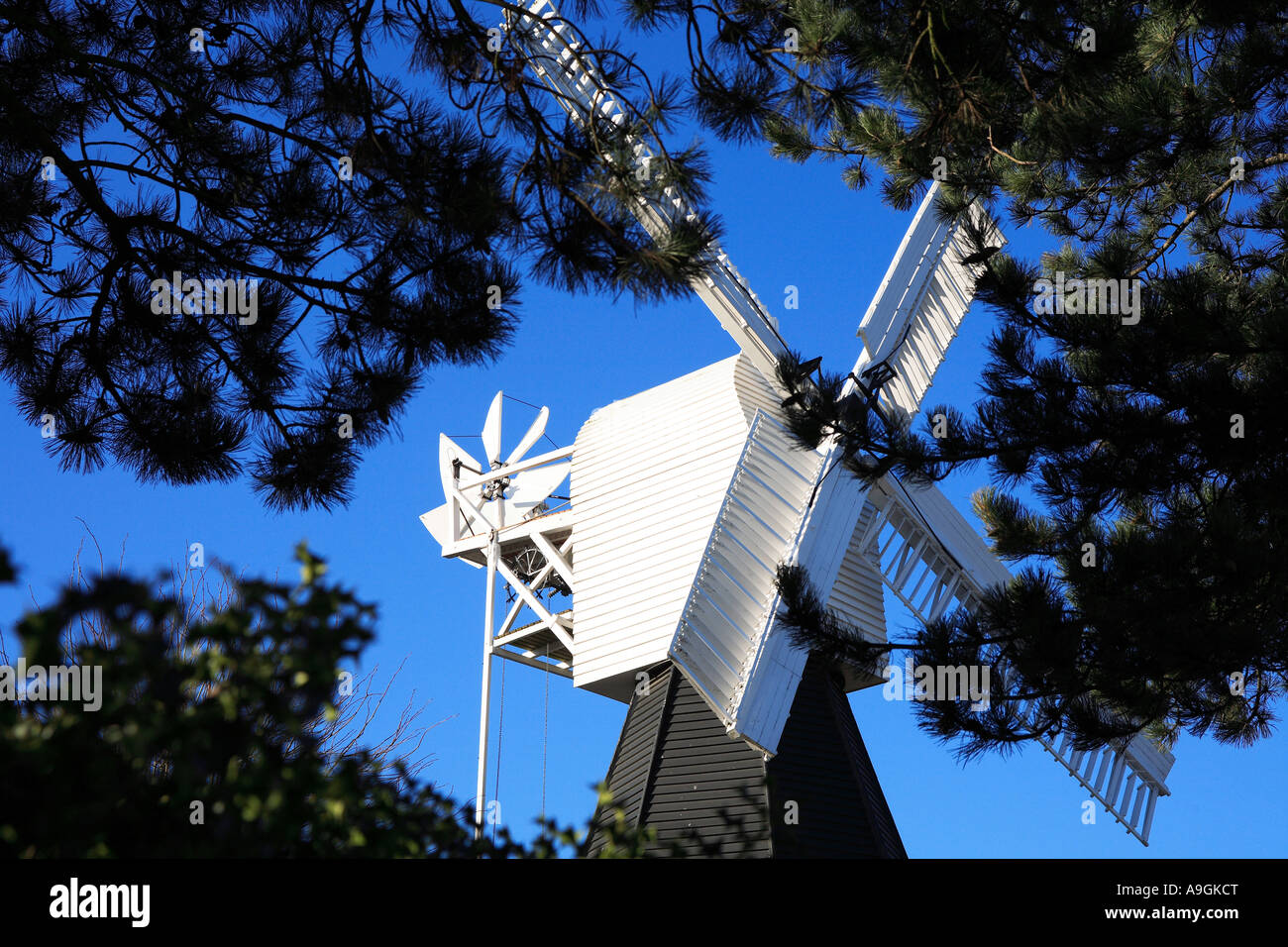 Il mulino a vento di Wimbledon Museo di Wimbledon Common Surrey in Inghilterra in Europa Foto Stock