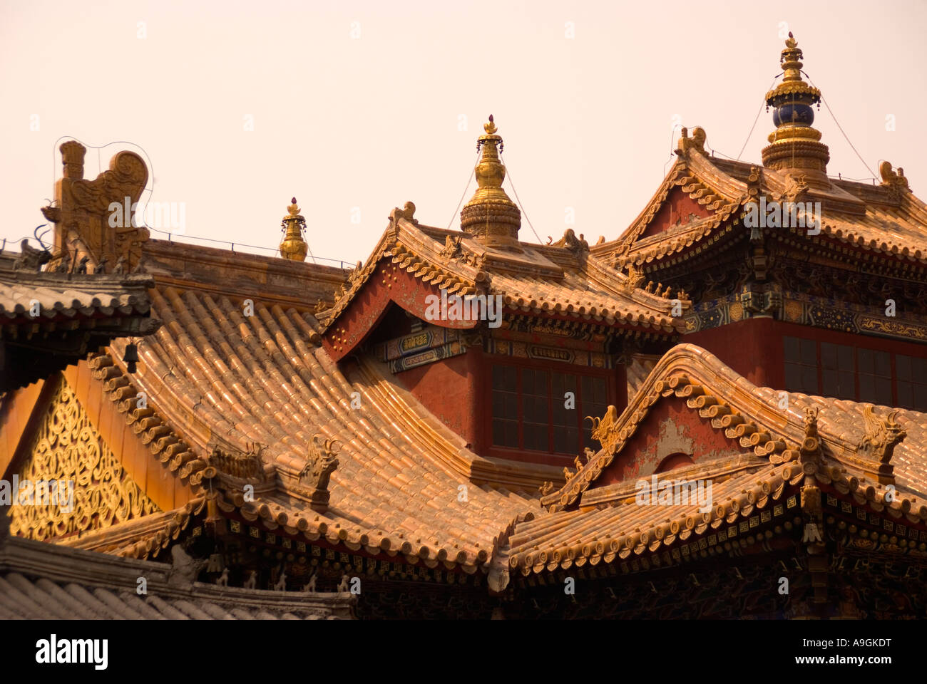 Il Tempio Lama (Yonghe Gong) Hall della Ruota della Legge (Falun Dian), Pechino Foto Stock